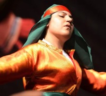 Anadolu Aleviliği, Ocaklar ve Dedelik Kurumu