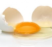 Tilki, Lema ve Yumurta | Aptallığıma Verin 2010: Türkiye Hikayeleri  