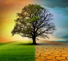 İklim Değişikliği: Etkiler ve Uyum Stratejileri