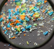 Mikroplastik ve Nanoplastik Kirliliği: Kaynaklar ve Etkiler 