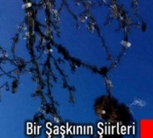 Bir Şaşkının Şiirlerir
